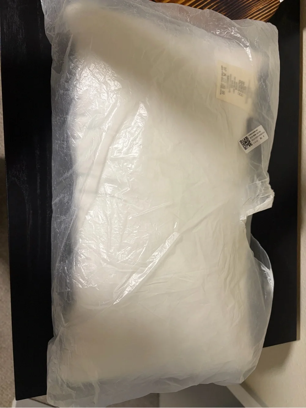 White Rectangular Pillow in Protective Sleeve